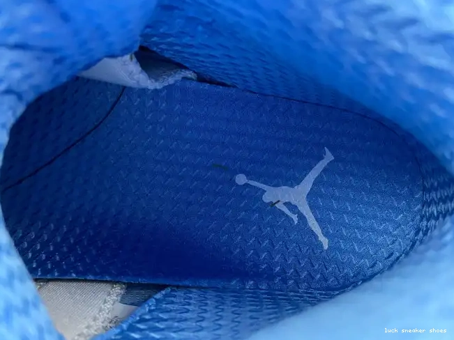 Rep LUCY 5 Jordan UNC DV1310-401 Air 0508